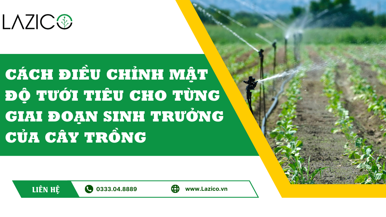 Cách điều chỉnh mật độ tưới tiêu cho từng giai đoạn sinh trưởng của cây trồng