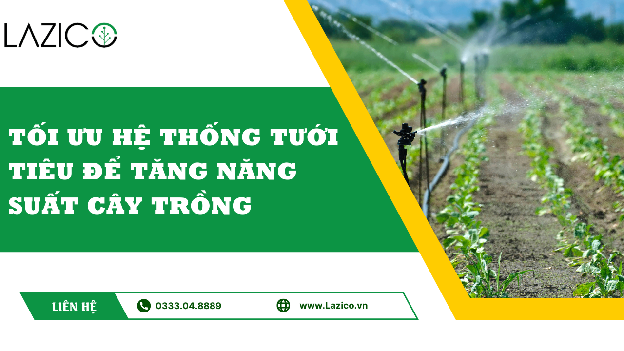 Tối ưu hệ thống tưới tiêu để tăng năng suất cây trồng