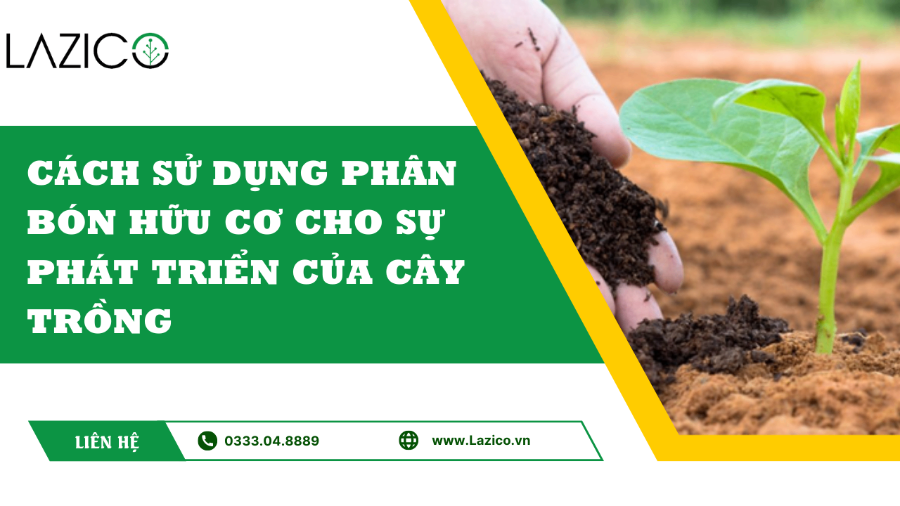 Cách sử dụng phân bón hữu cơ cho sự phát triển bền vững của cây trồng