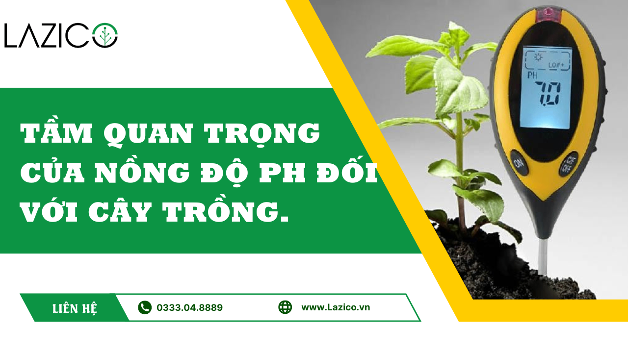 TẦM QUAN TRỌNG CỦA NỒNG ĐỘ PH ĐỐI VỚI CÂY TRỒNG