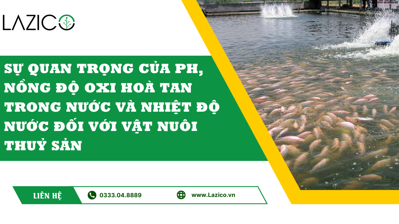 ĐO PH, NỒNG ĐỘ OXI HOÀ TAN TRONG NƯỚC, NHIỆT ĐỘ NƯỚC - CÁC YẾU TỐ QUAN TRỌNG CHO VẬT NUÔI THUỶ SẢN.