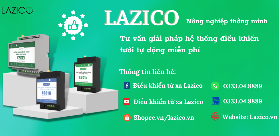 Banner LAZICO đầu