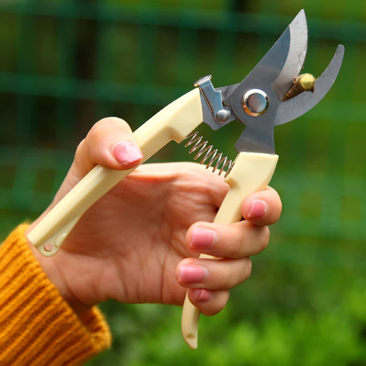 Kéo cắt cành cán trắng