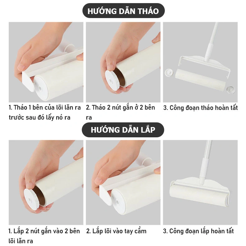 Cây lăn bụi cán dài