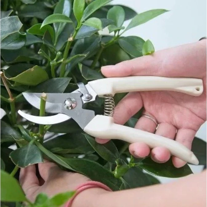 Kéo cắt cành cán trắng