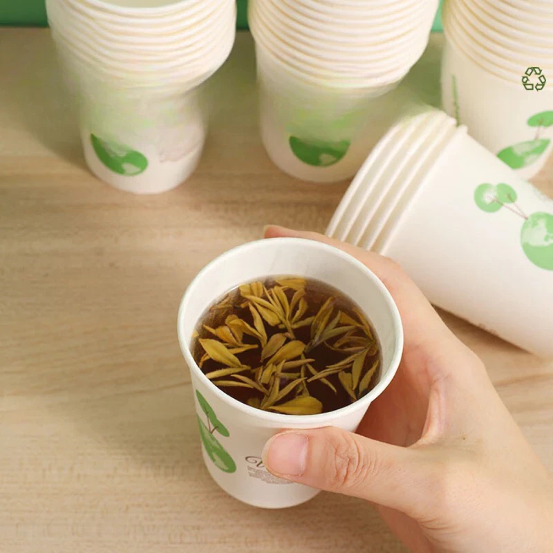 Cốc giấy gấu trúc