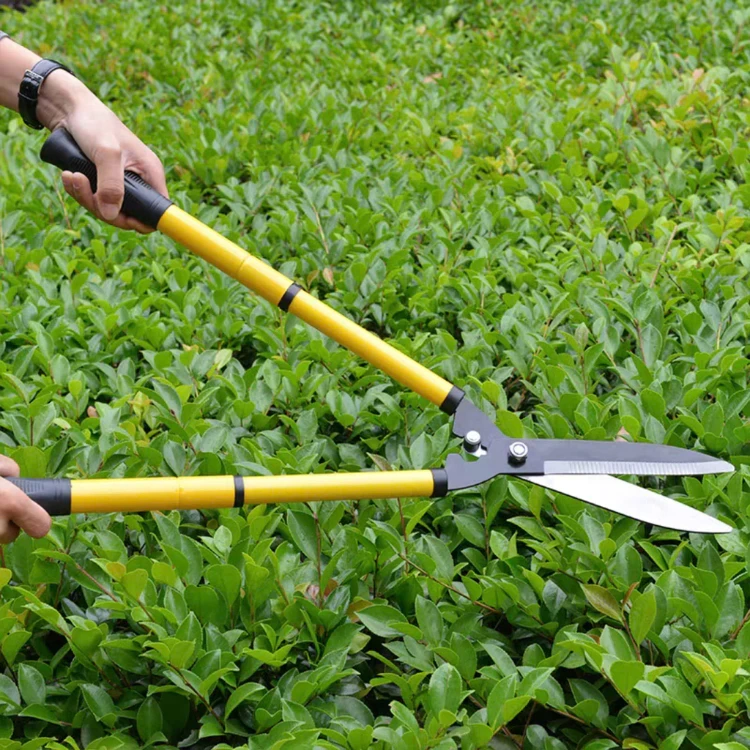 Kéo cắt tỉa hàng rào cây cảnh
