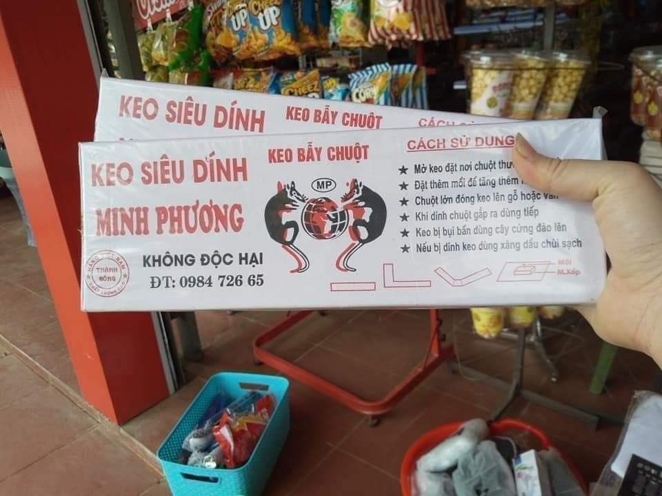 Set 5 dính chuột trắng