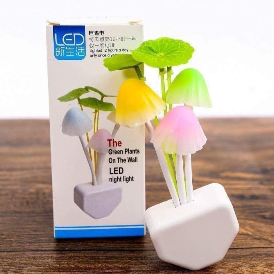 Đèn ngủ nấm