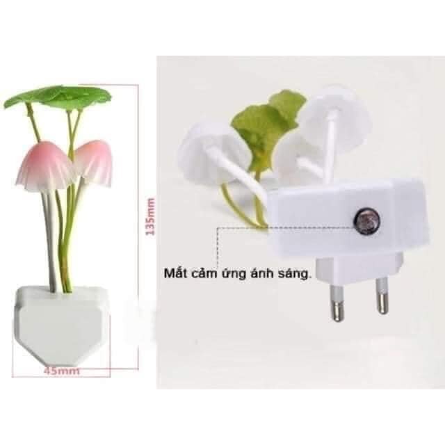 Đèn ngủ nấm