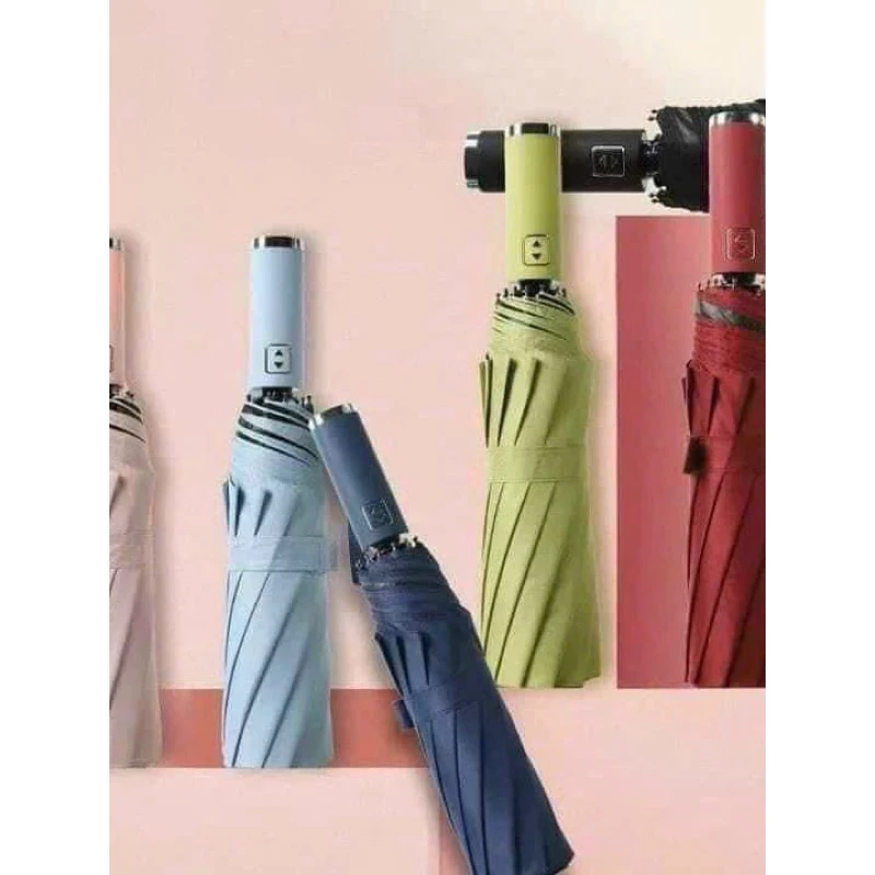 Ô uv tự động 10 nan