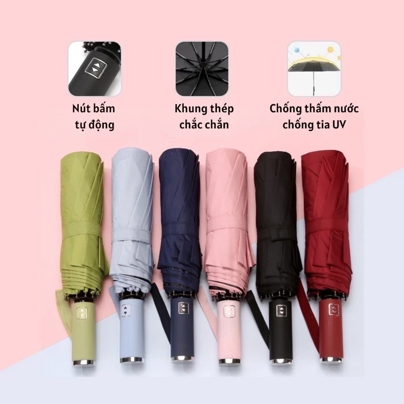 Ô uv tự động 10 nan