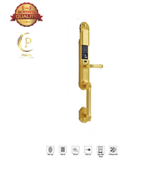 P53 Khóa đại sảnh vàng 24k