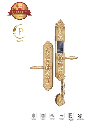 Khoá cửa vân tay đại sảnh P46