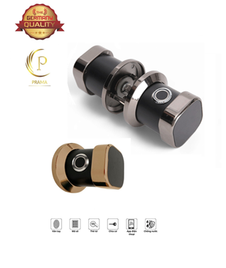 Khoá điện tử P240 APP