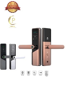 P229 Khóa vân tay thông phòng