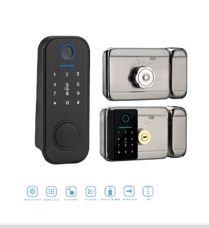 Khoá cửa vân tay P319 Dual