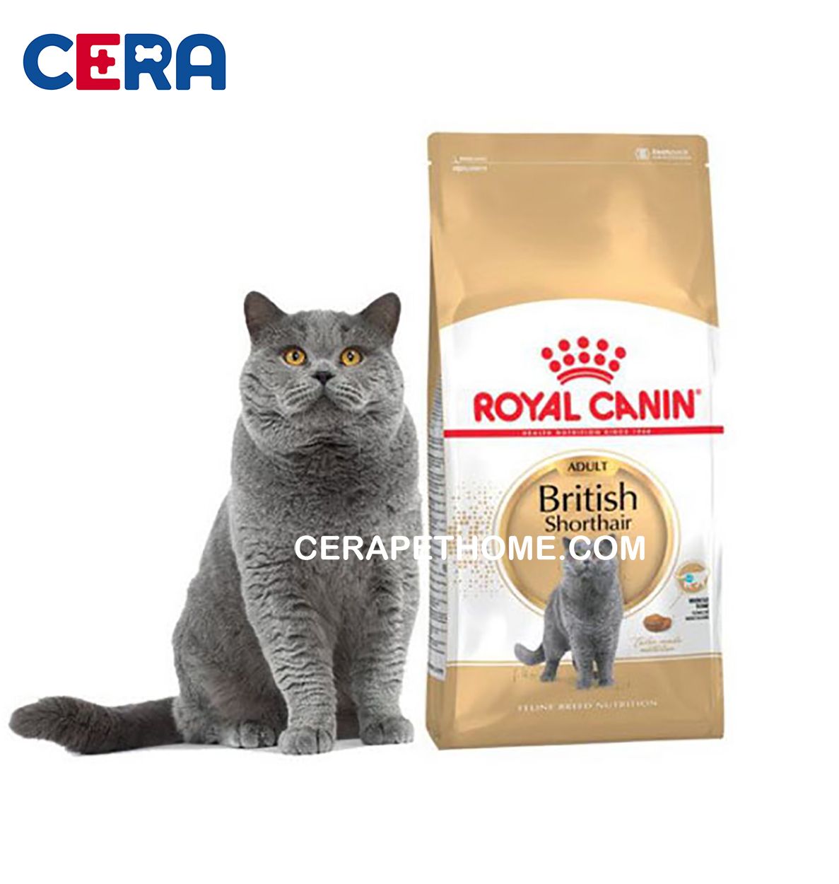 Thức Ăn Mèo Royal Canin Mèo Anh Lông Ngắn Trưởng Thành - British Shorthair