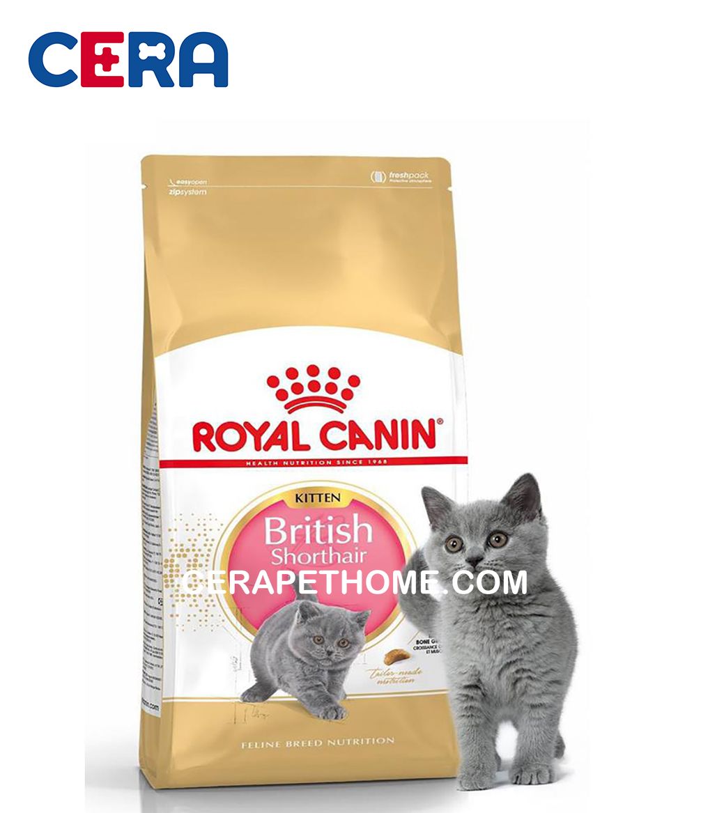 Thức Ăn Mèo Royal Canin Mèo Anh Lông Ngắn Dưới 1 Tuổi - British Kitten