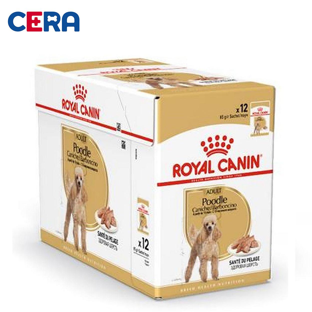 Pate Dinh Dưỡng Cho Chó Poodle Adult - Royal Canin 85g