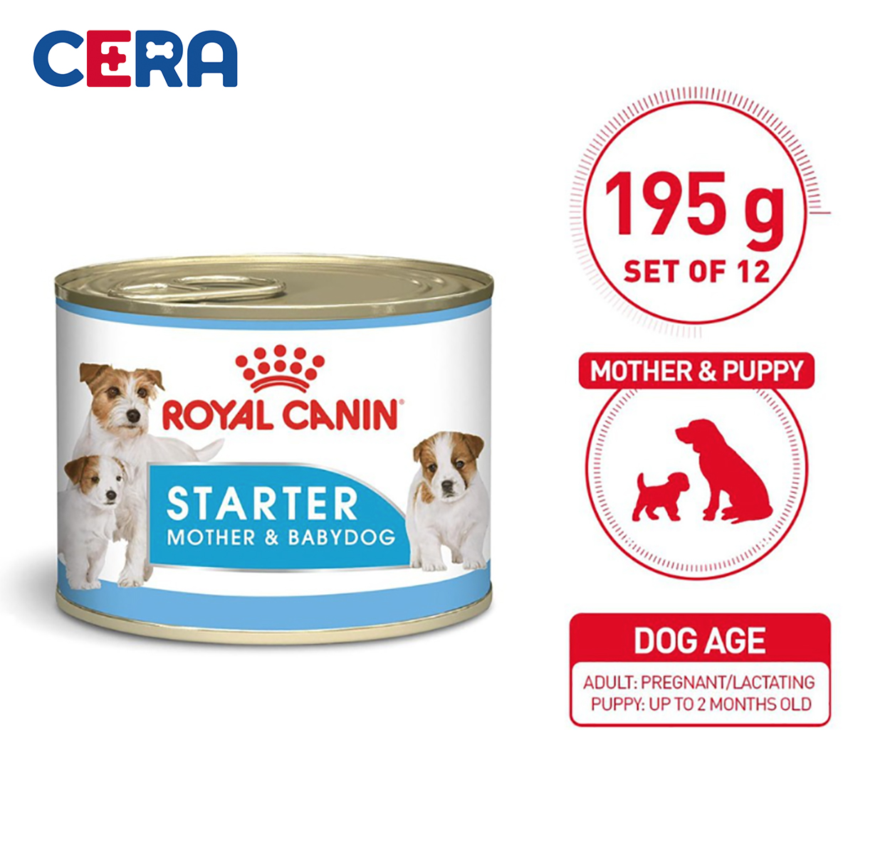 Pate Cho Chó Mẹ Và Chó Con Royal Canin - Pate Starter Mousse 195g