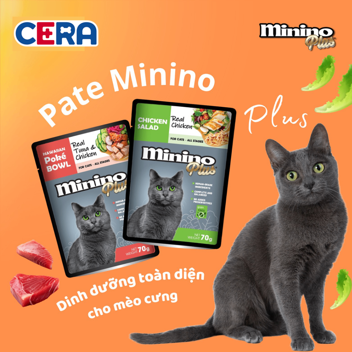 Pate Cho Mèo Trên 3 Tháng - Pate Minino Plus 70G