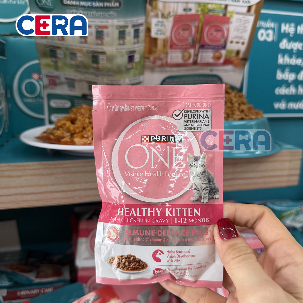 Pate Dinh Dưỡng Cho Mèo Con - Purina Kitten Vị Gà 70g