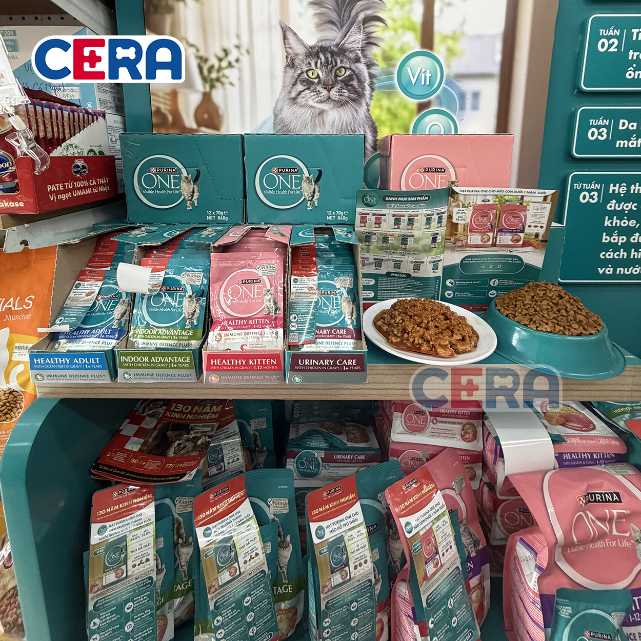 Pate Dinh Dưỡng Cho Mèo Lớn Purina 70g