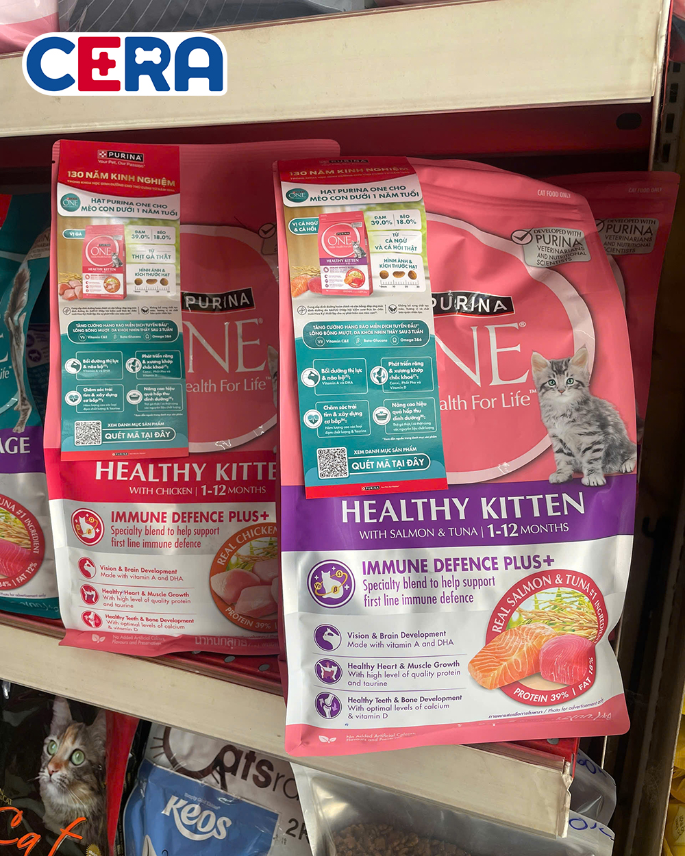 Thức Ăn Hạt Cho Mèo Con - PURINA ONE Kitten Chicken Dry Cat Food