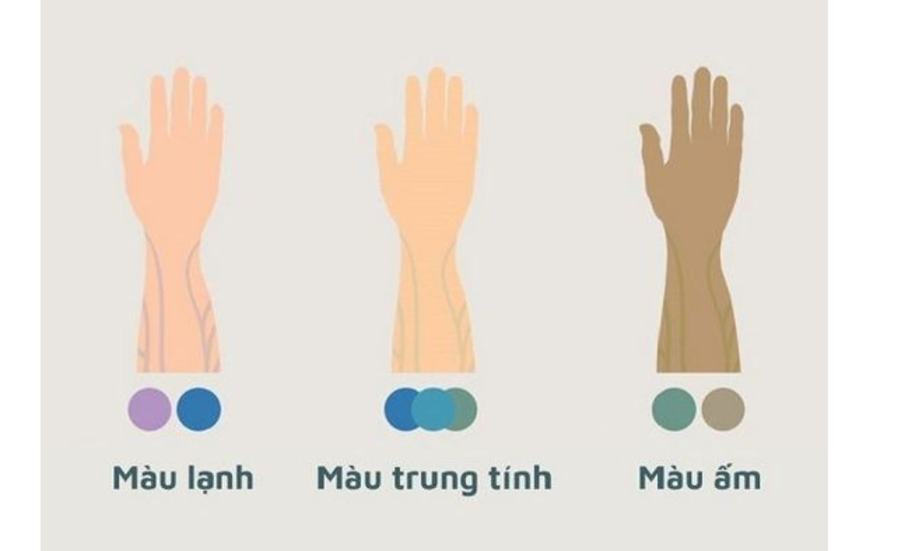 Da-ngam-nen-mac-mau-gi-Bi-kip-chon-mau-ton-da-cuc-sang-va-sang-8.jpg
