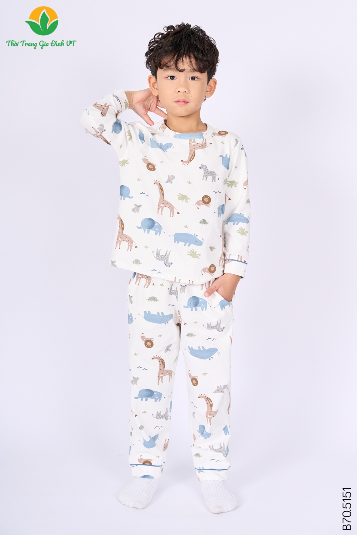 B70.5151.Bộ B QDADT DH - 2-3 - Voi trắng