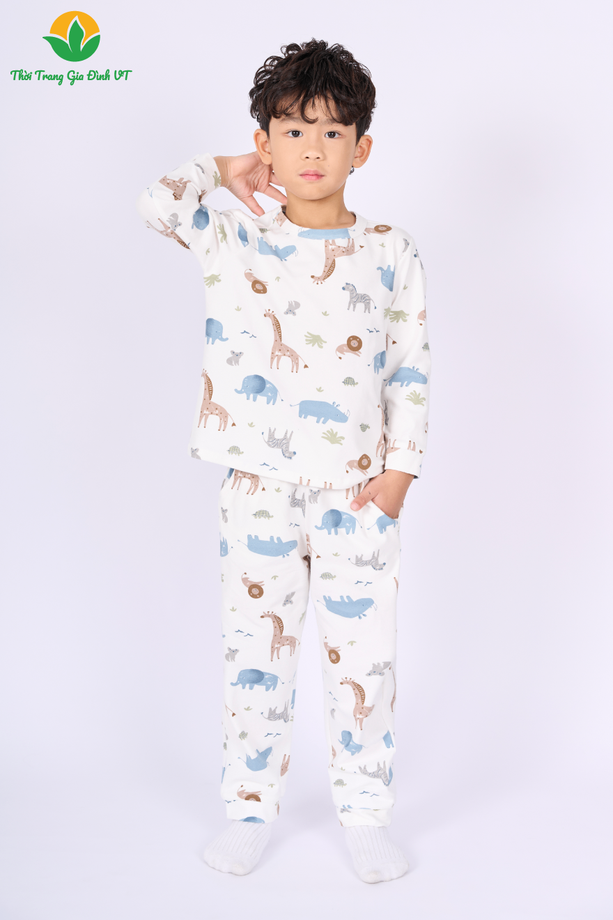 B70.5179.Bộ B QDADT DH - 2-3 - Voi trắng