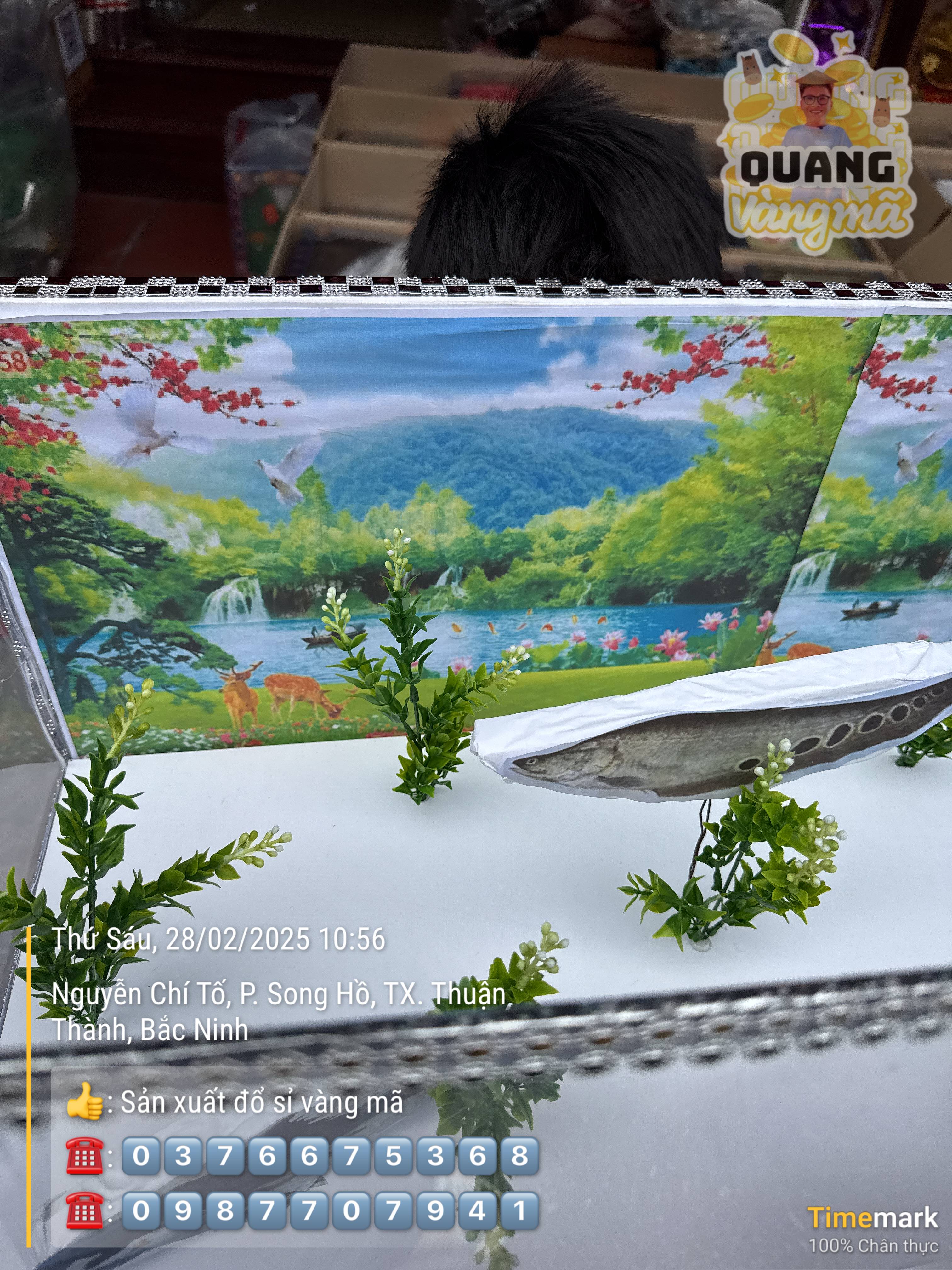 Bể cá cảnh