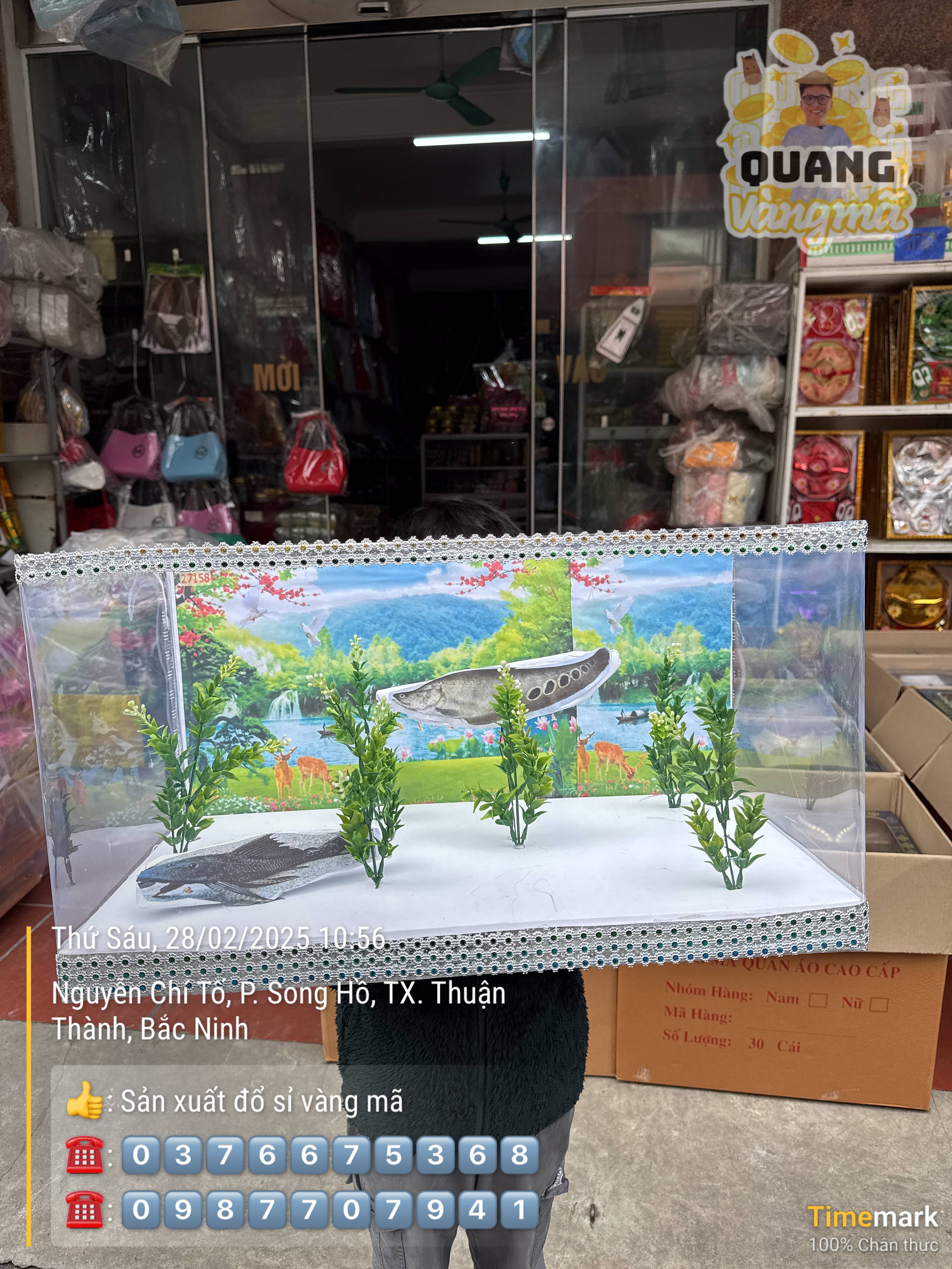 Bể cá cảnh