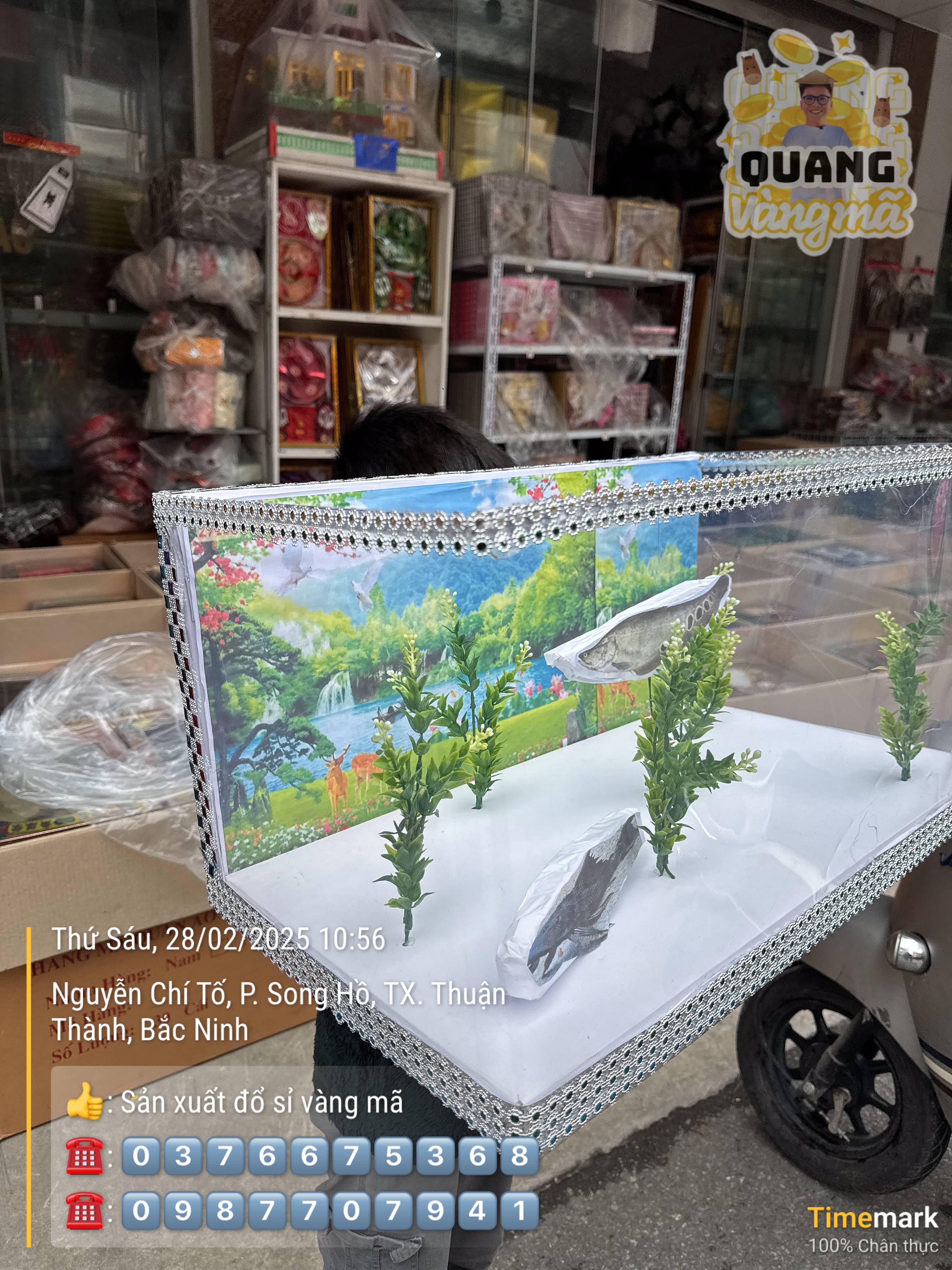 Bể cá cảnh