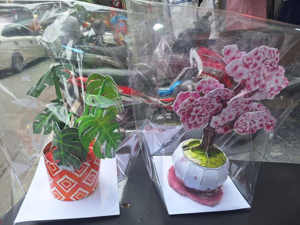 Cây cảnh