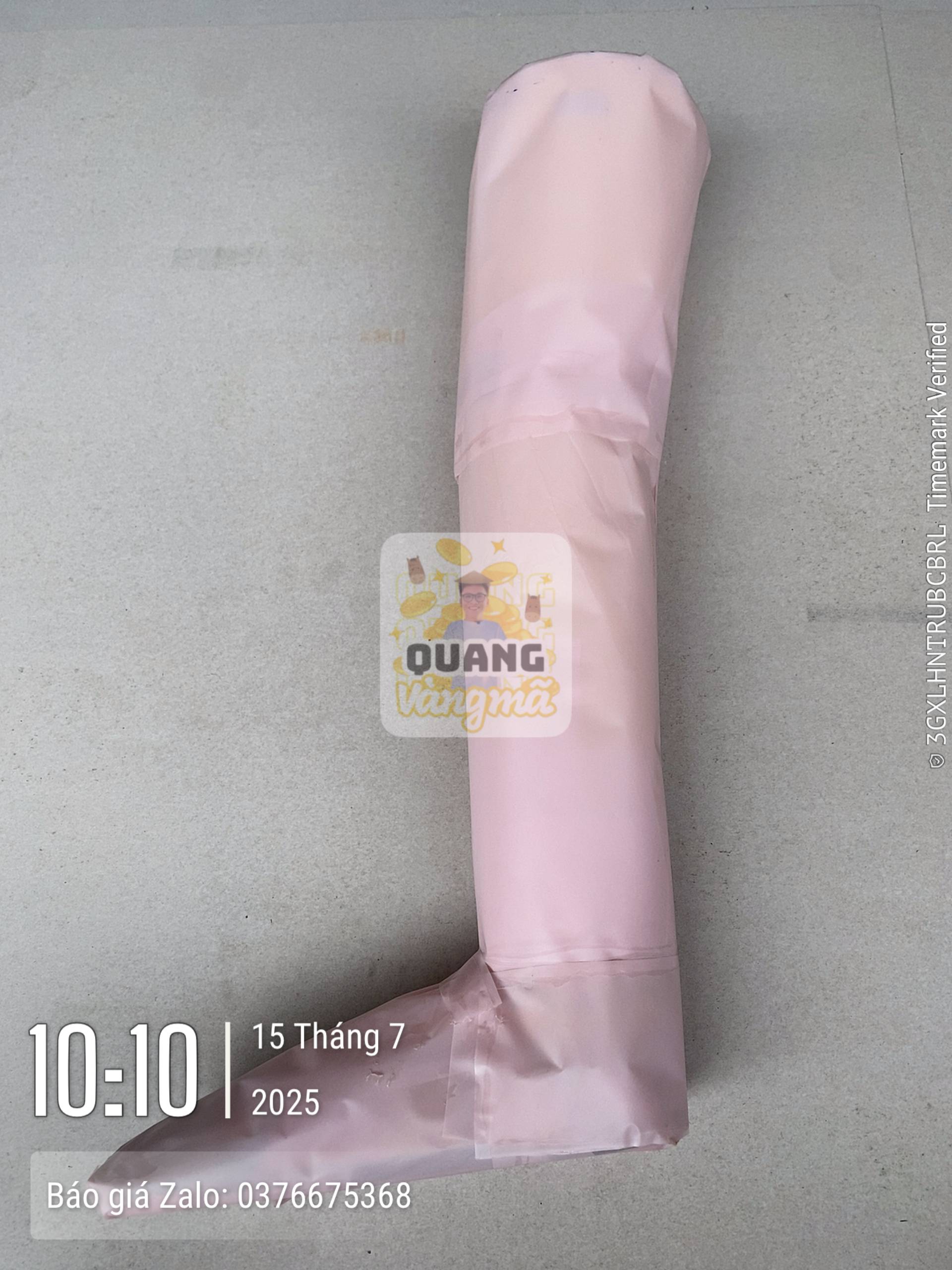 Giả chân