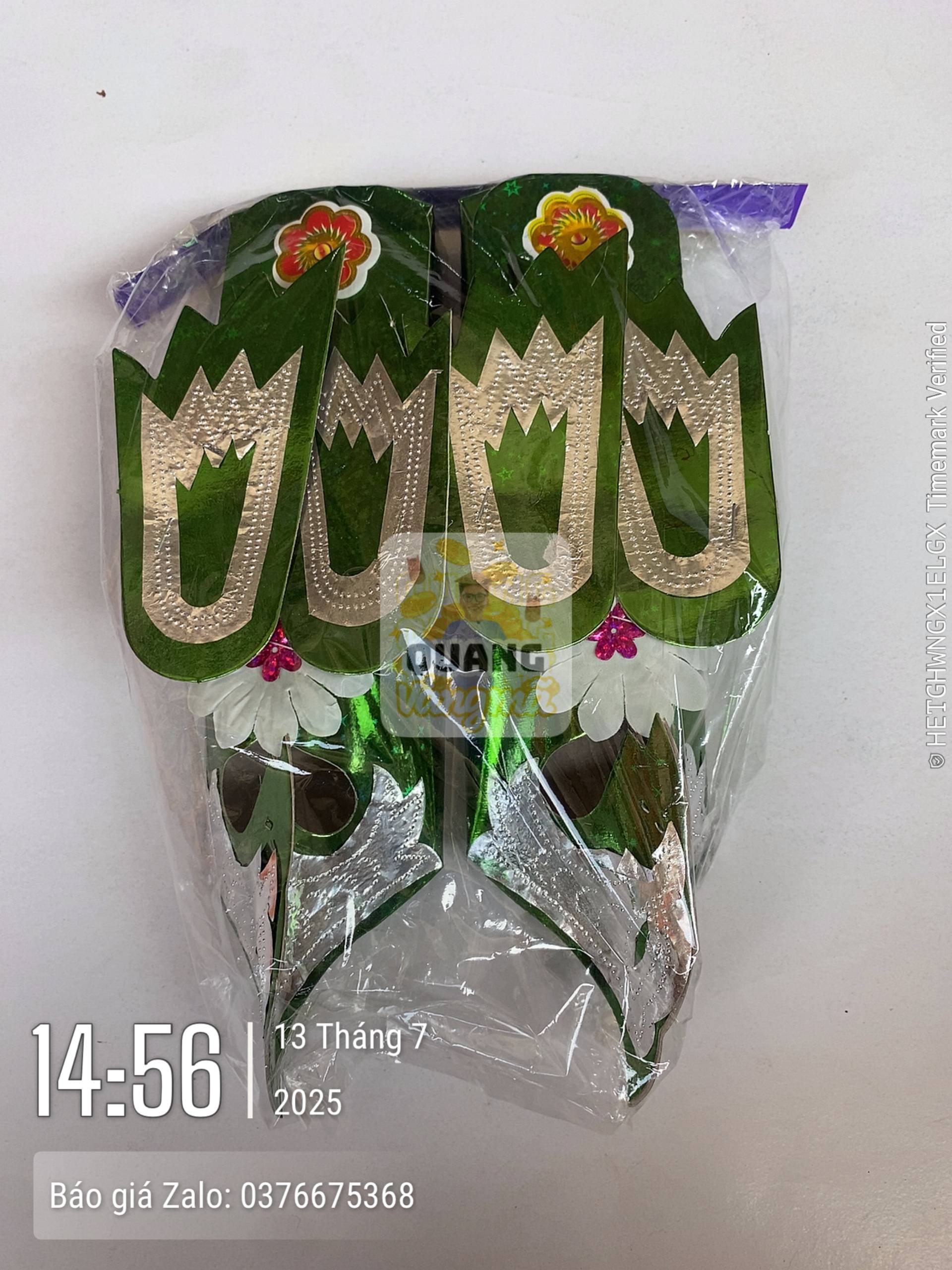 Hài phượng gầy.