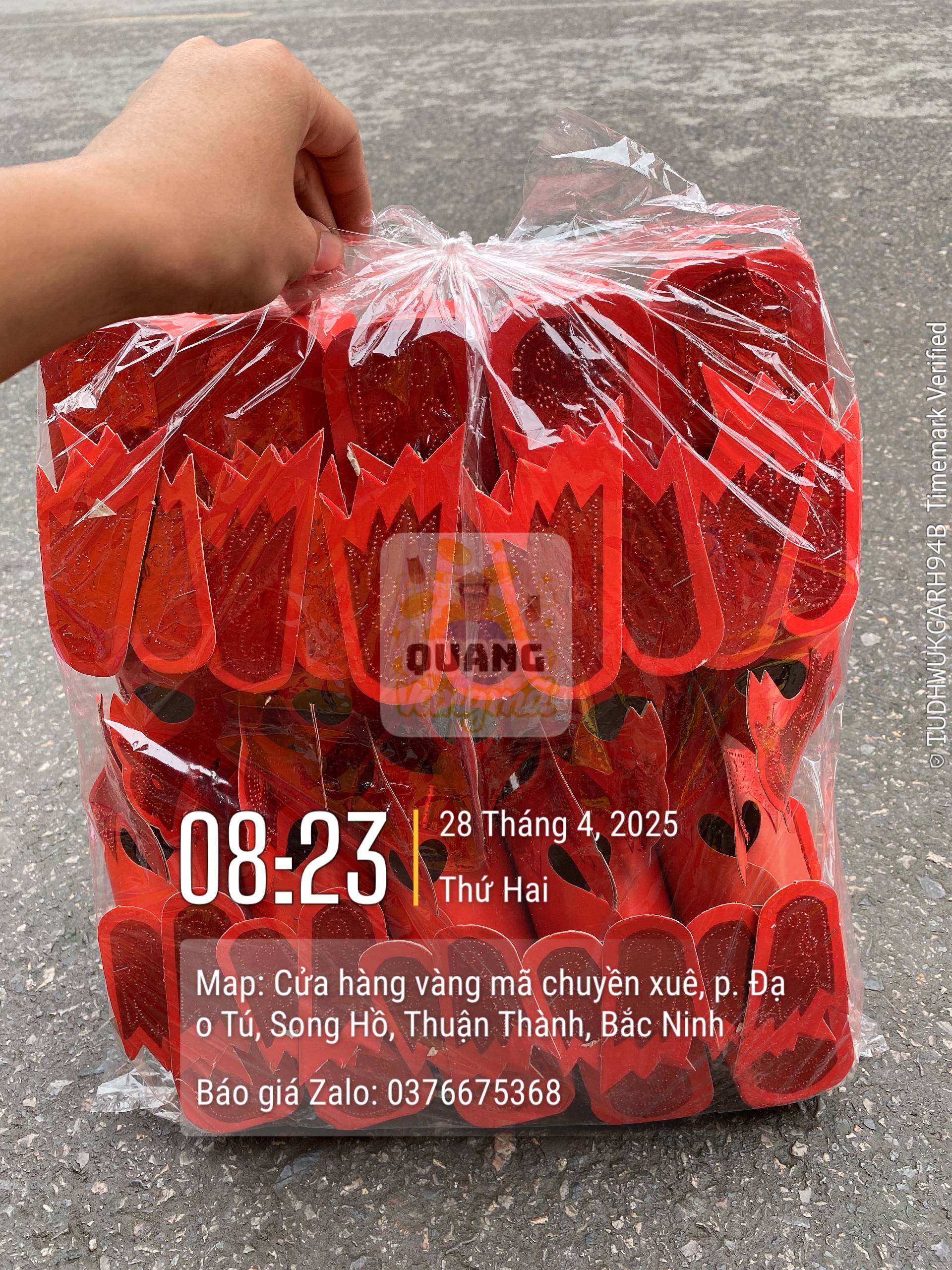 Hài phượng sơn thánh cô thánh mẫu