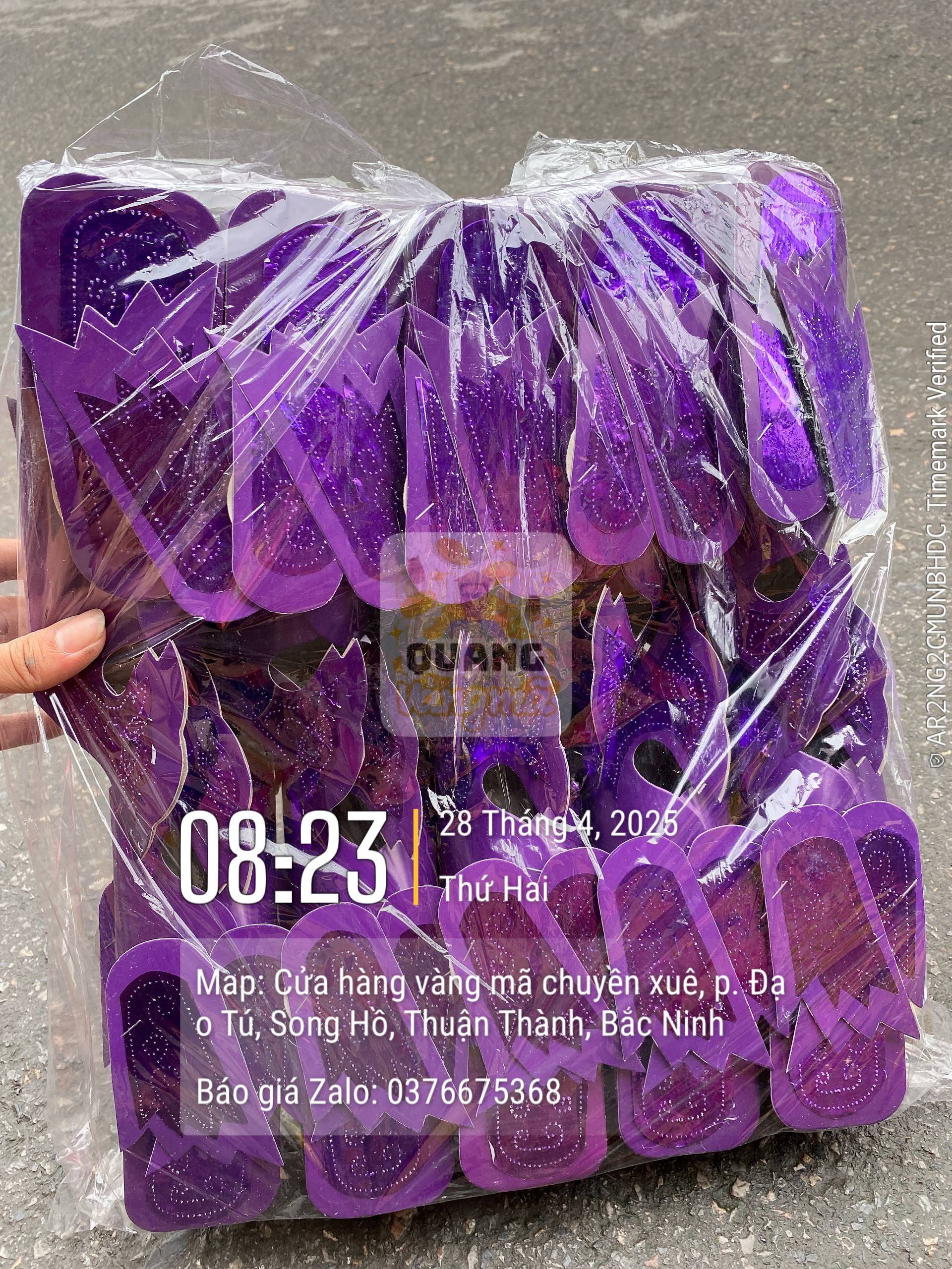 Hài phượng sơn thánh cô thánh mẫu