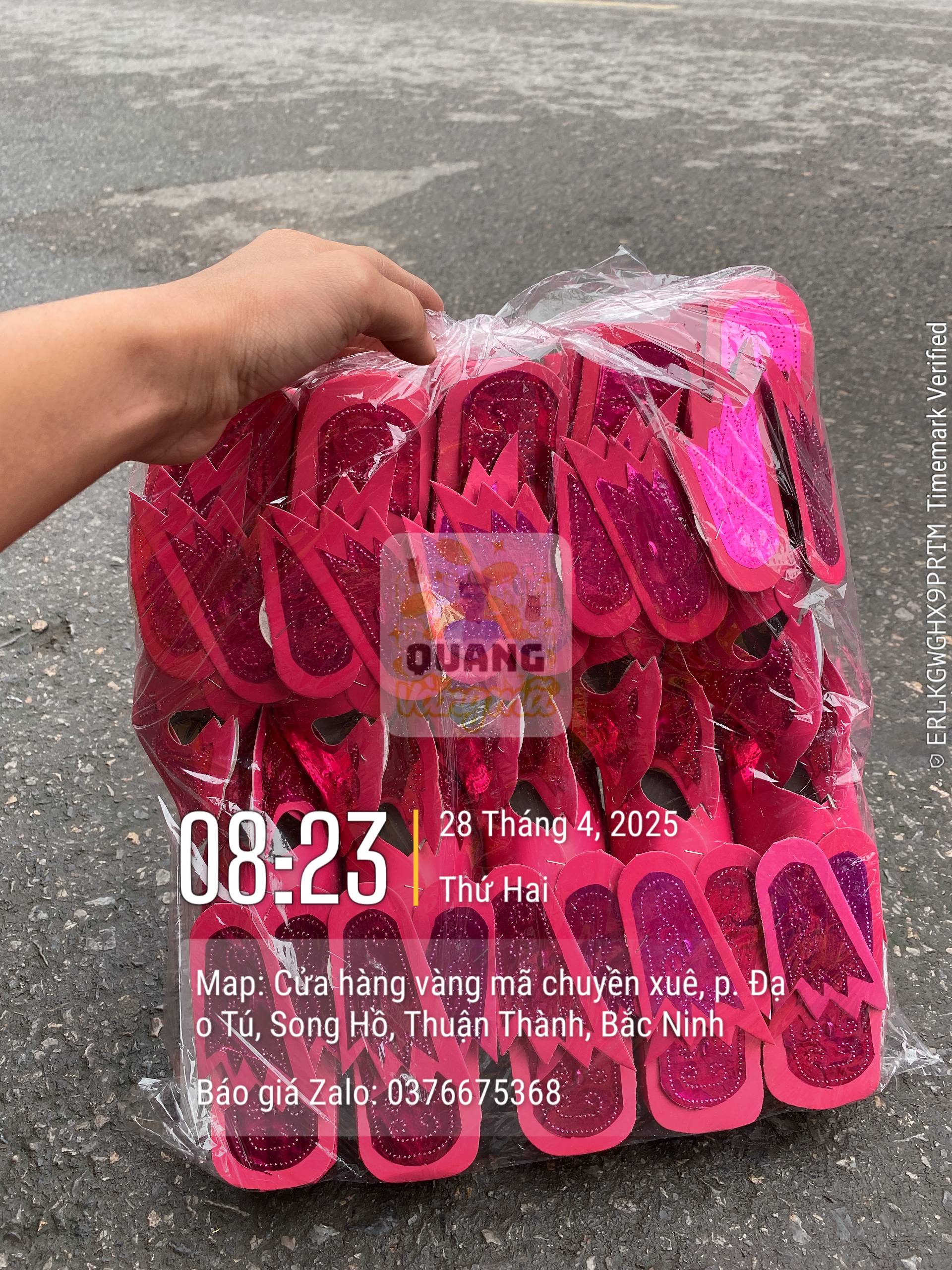 Hài phượng sơn thánh cô thánh mẫu