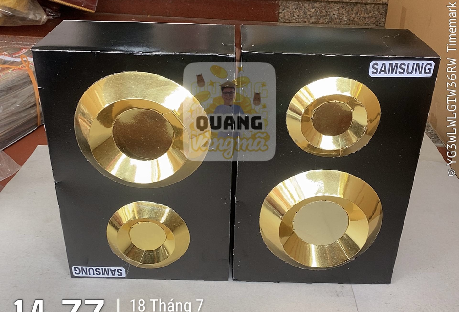 Loa thường
