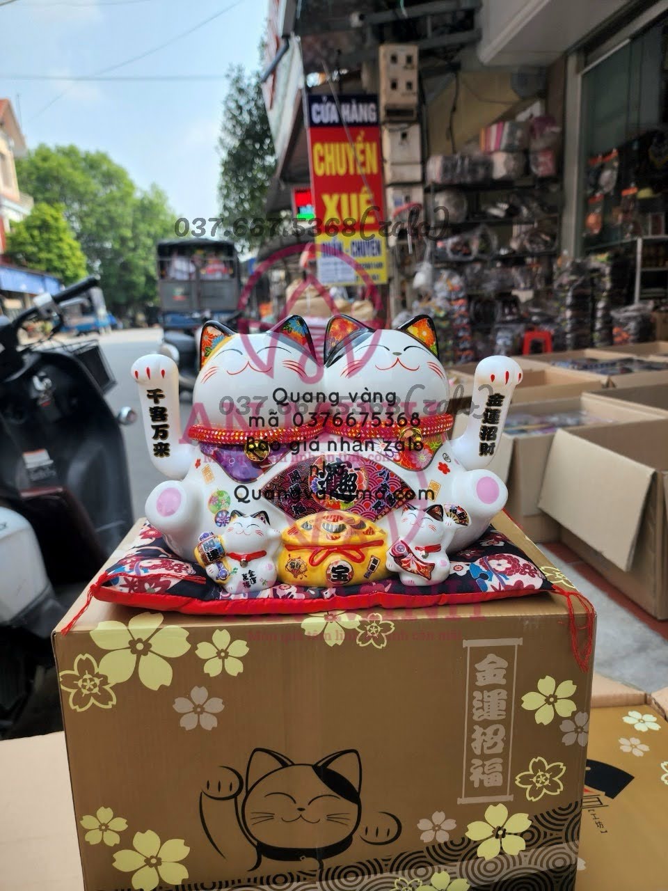 MÈO THẦN TÀI