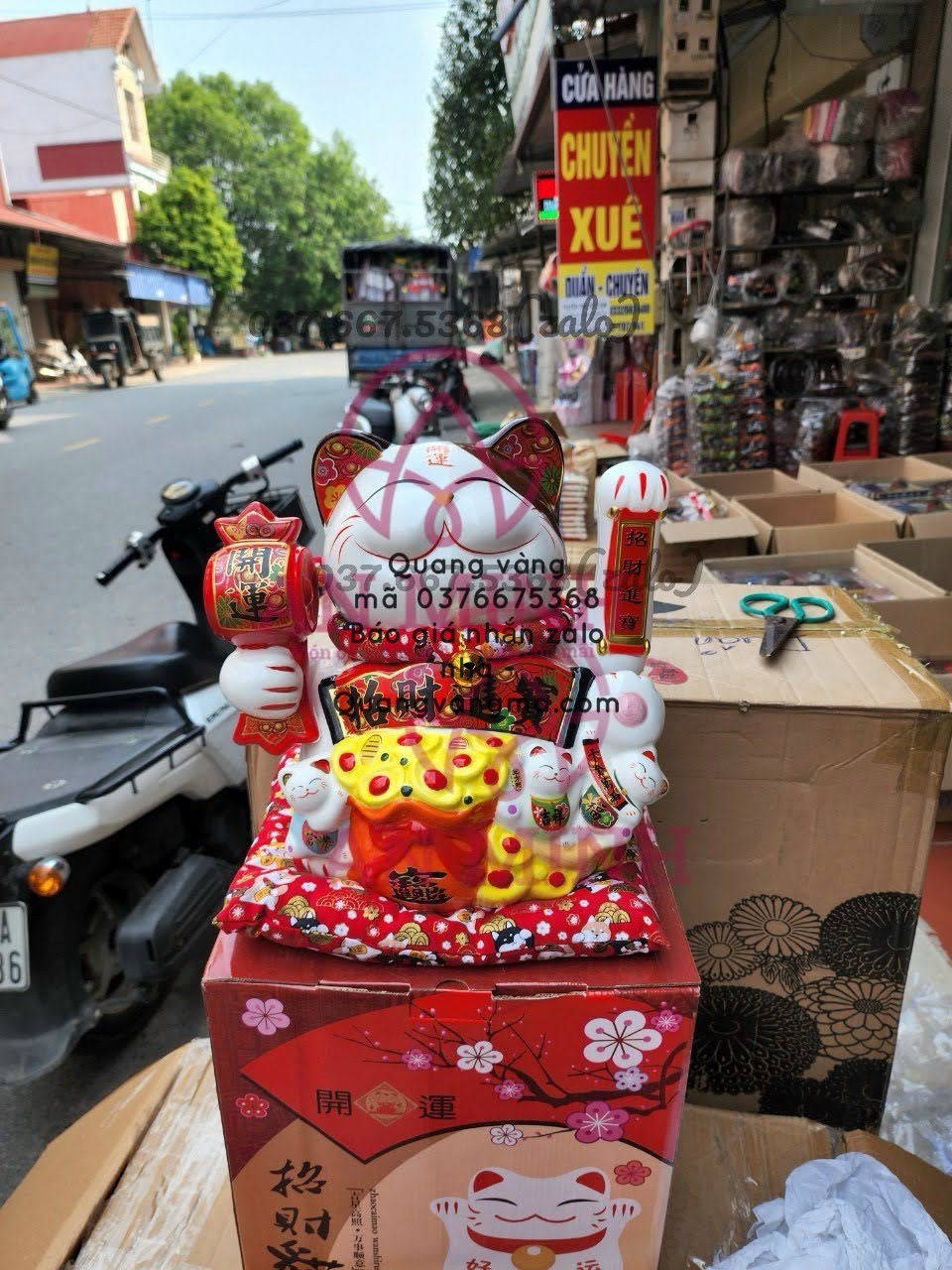 MÈO THẦN TÀI