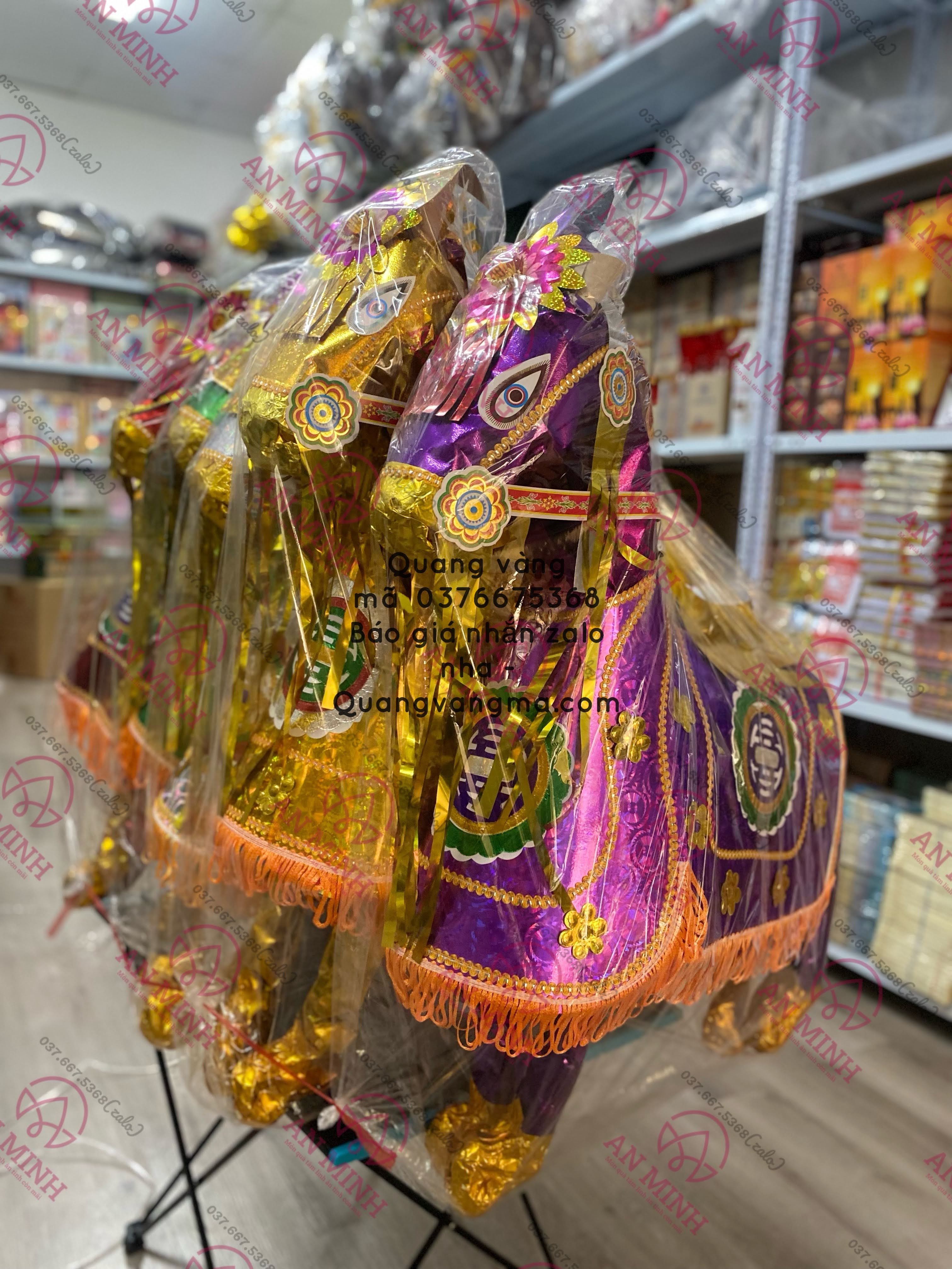 NGỰA ĐẸP ĐỦ MÀU
