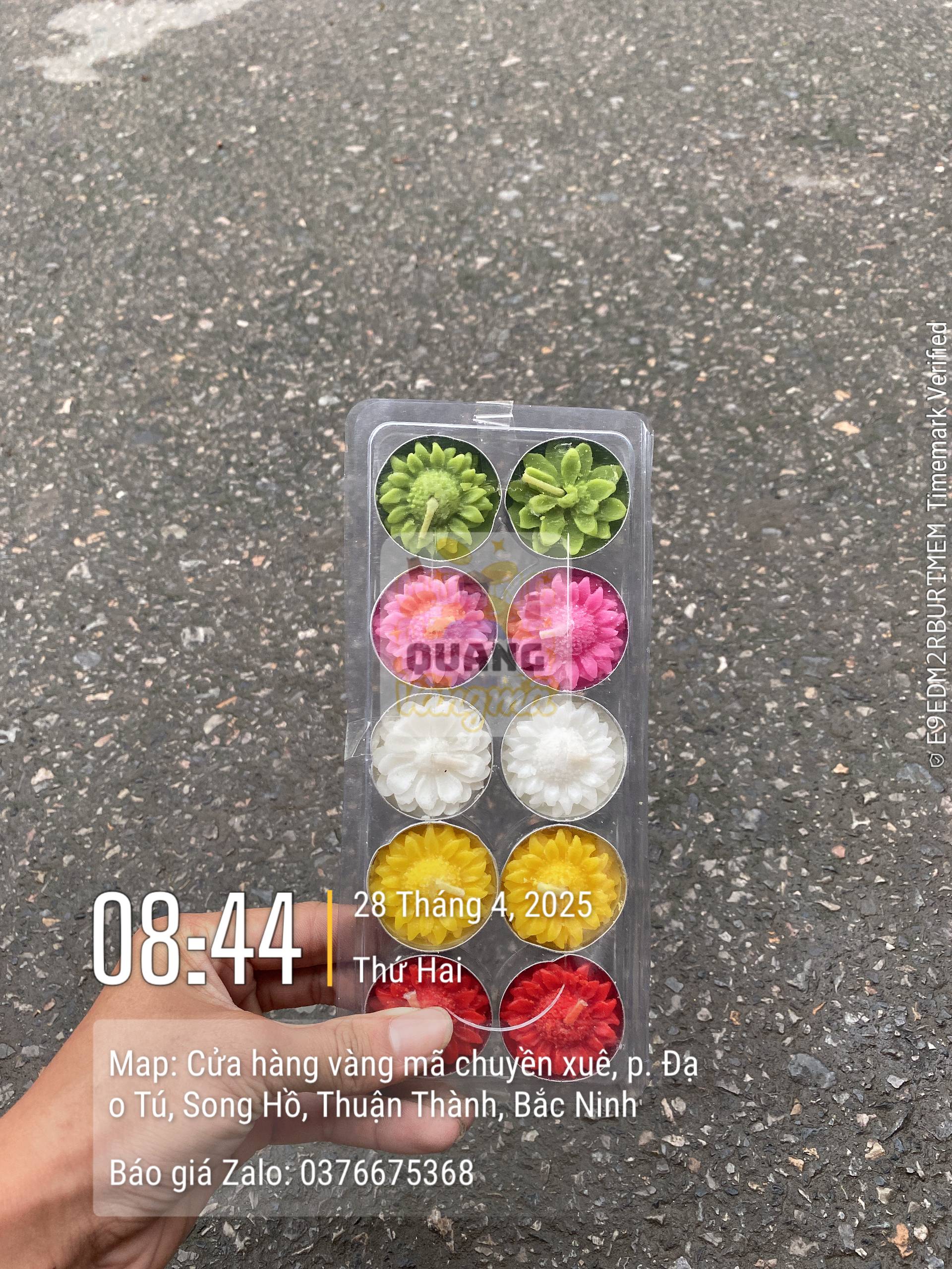 Nến xu hoa sáp bơ sịn qvm100