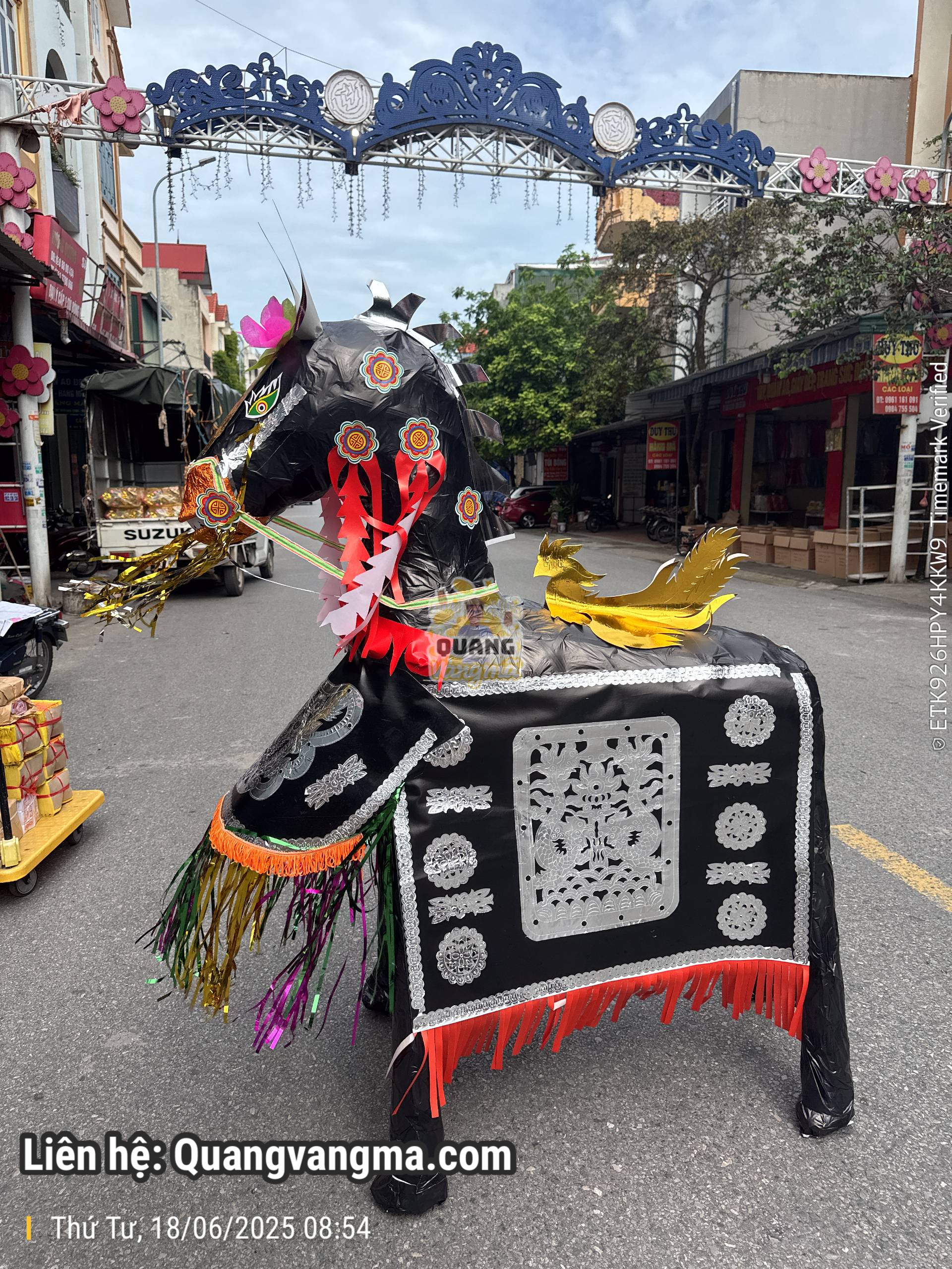 Ngựa đen cao 2met trung