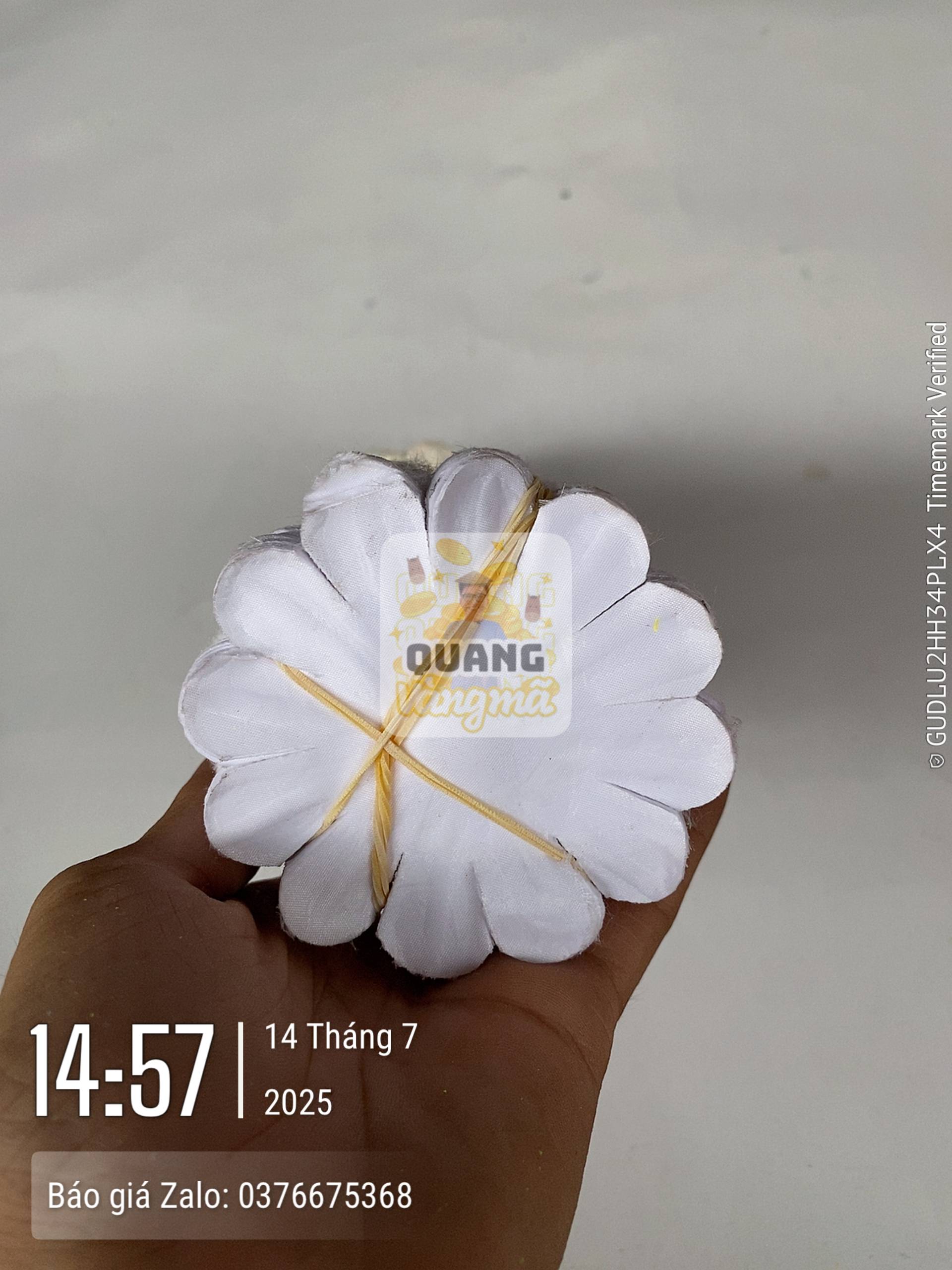 Phụ kiện 19