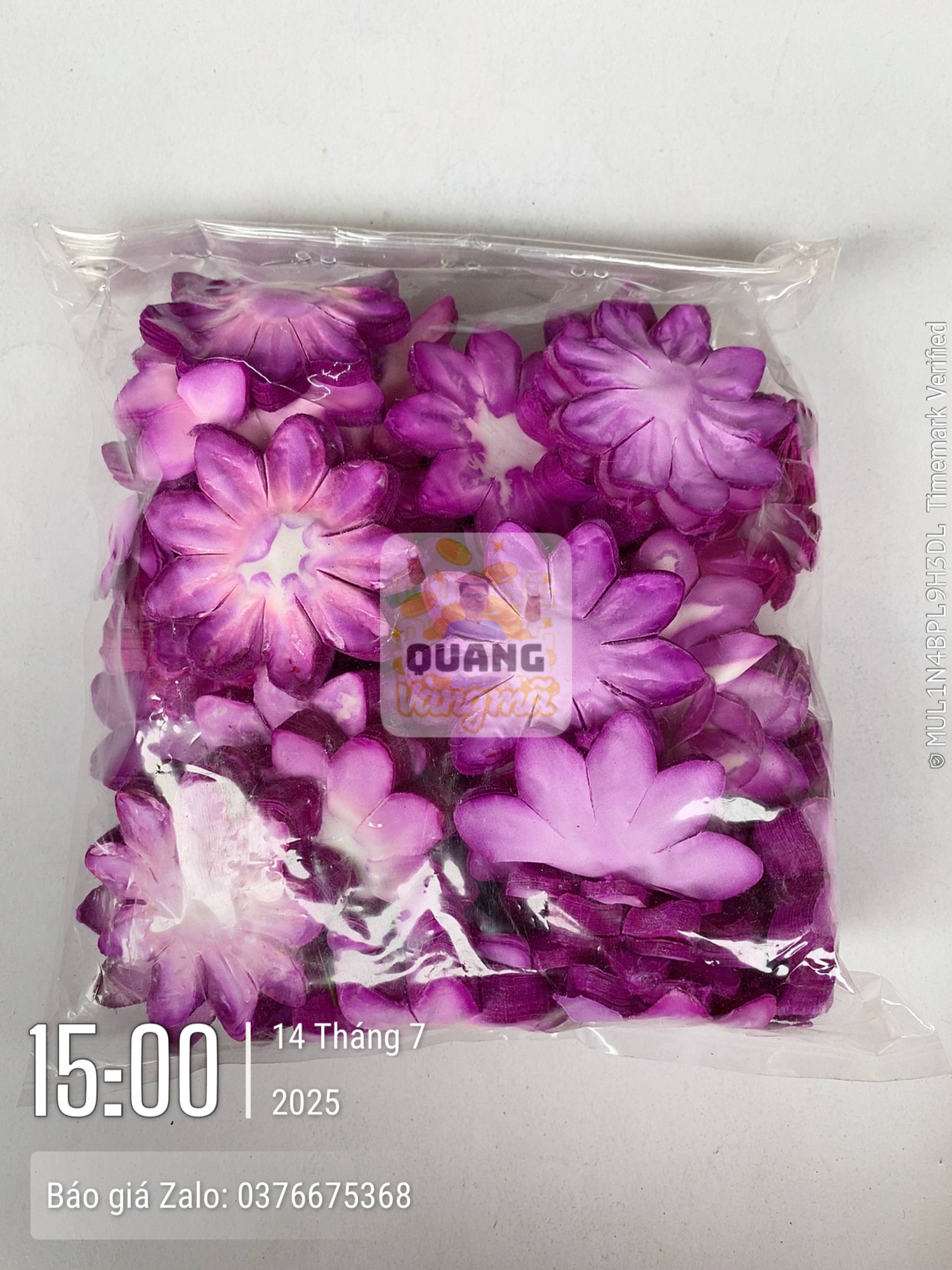 Phụ kiện 20