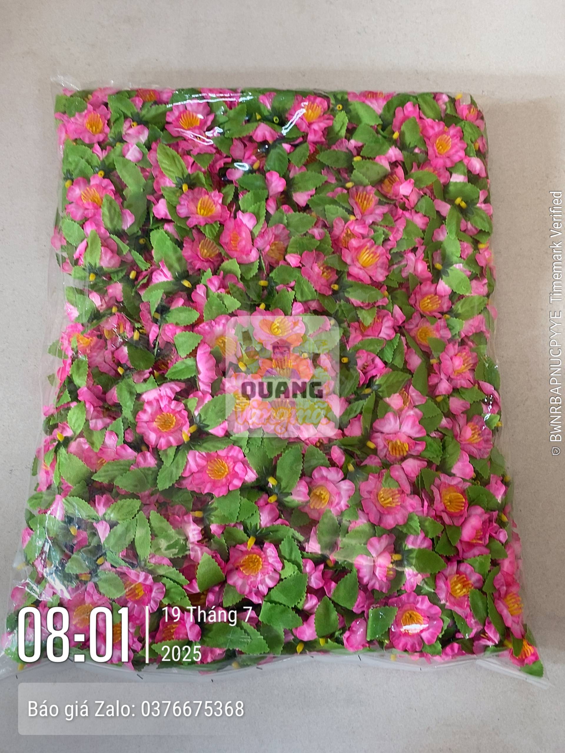 Phụ kiện 30. 31